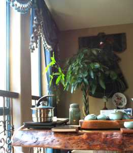 客厅灯巢装饰绿藤图片