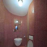 浴缸墙上置物架现代卫生间装修效果图