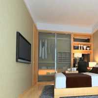 沙发富裕型灯具一居室装修效果图